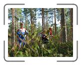 IMG_0303 * 2592 x 1944 * (2.32MB)