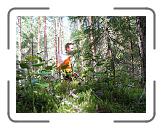 IMG_0323 * 2592 x 1944 * (2.12MB)
