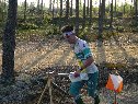 Se on siinä