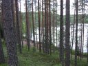 Kangaslampi