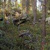 Ratamestarin nauha ja pukki odottamassa (63KB)
