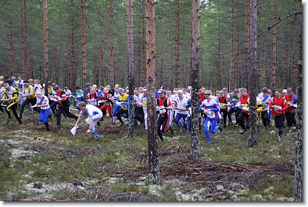Seuraava kuva