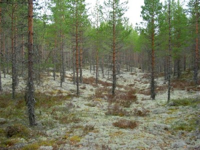 ...luukutusta
