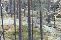 kuvat_hs_002