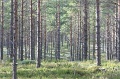 kuvat_hs_003