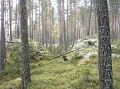 kuvat_hs_004