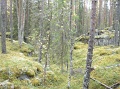 kuvat_hs_005