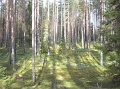 kuvat_hs_007