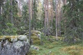 kuvat_hs_008