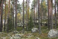 kuvat_hs_009