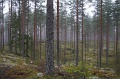 IMG_3556