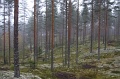 IMG_3562