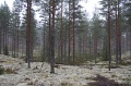 IMG_3565