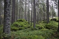 IMG_3585