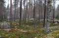 IMG_3592
