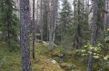 IMG_3595