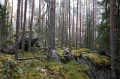 IMG_3597