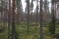 IMG_3624