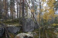 IMG_3629