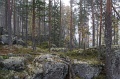 IMG_3630