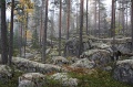 IMG_3631