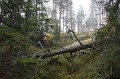 IMG_3644