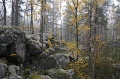 IMG_3648