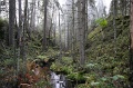 IMG_3660