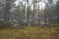 IMG_3667