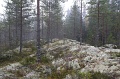 IMG_3676
