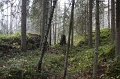 IMG_3687