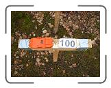 IMG_8055 * 2592 x 1944 * (1.8MB)