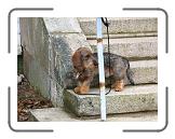 IMG_8057 * 2592 x 1944 * (1.98MB)