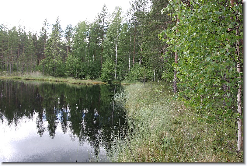 Seuraava kuva