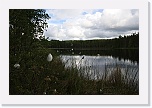 IMG_3543 * 3888 x 2592 * (4.07MB)